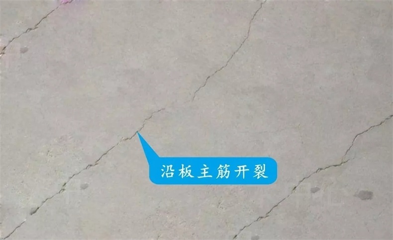 252.webp_看图王.jpg