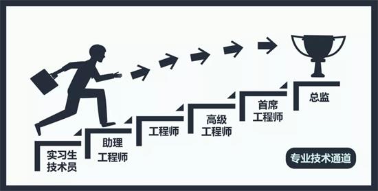 专业技术通道.webp.jpg